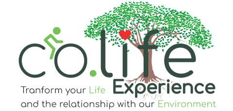 colife.experience